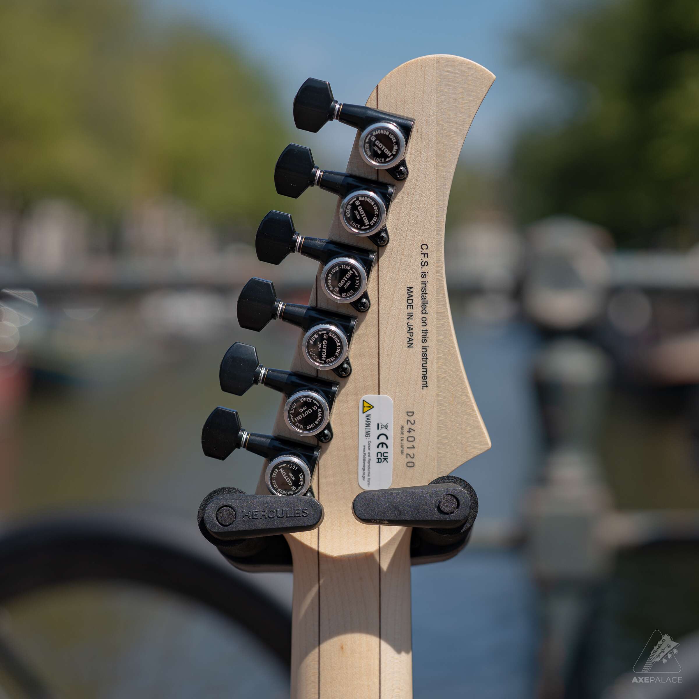 FGN Mythic 6-String Ash Open Pore Black - Image 6