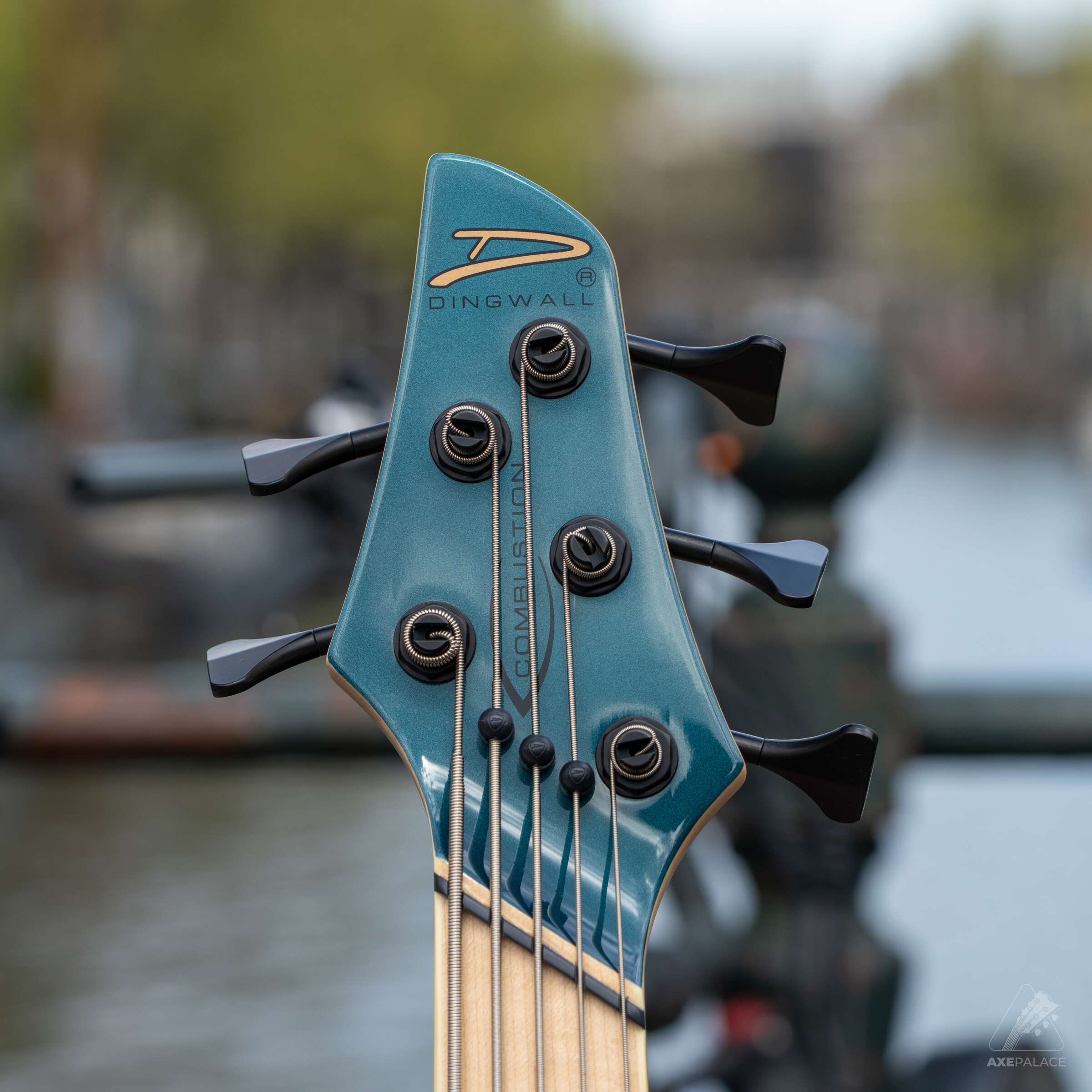 Dingwall NG2 5-String Adam "Nolly" Getgood Signature Bass Deep Forrest Green - Image 5