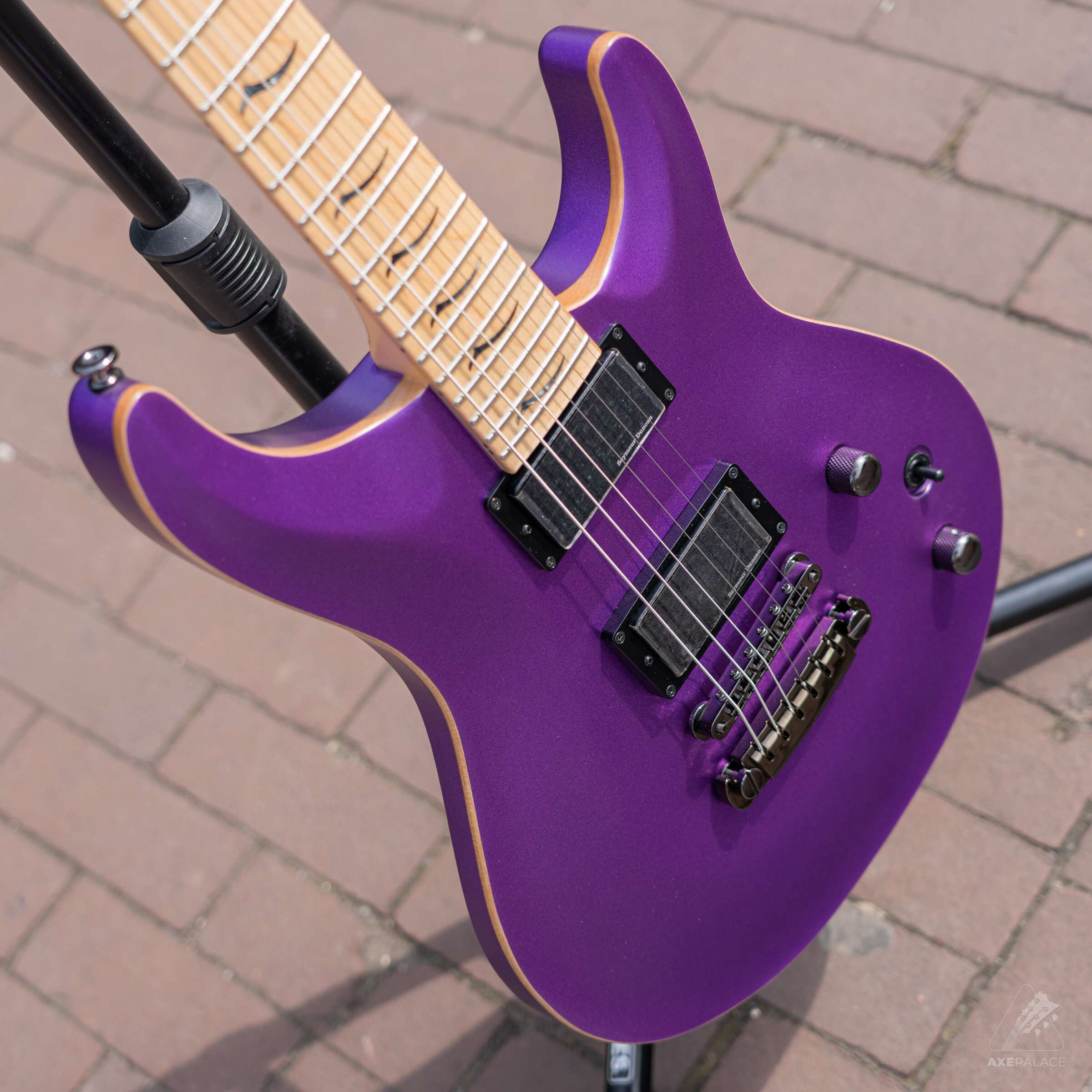 B-STOCK] FGN Axe Palace Limited Run Elan Dark Evolution 6-String