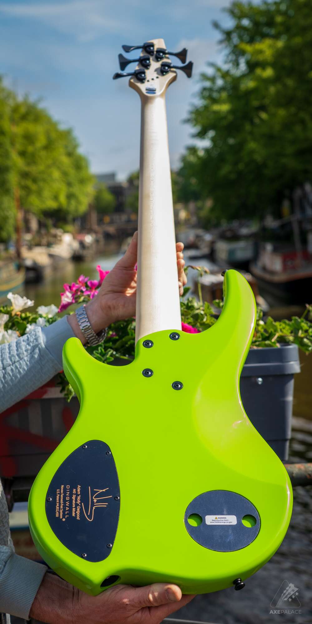 Dingwall NG3 5-String Adam "Nolly" Getgood Signature Bass - Ferrari Green - Image 5