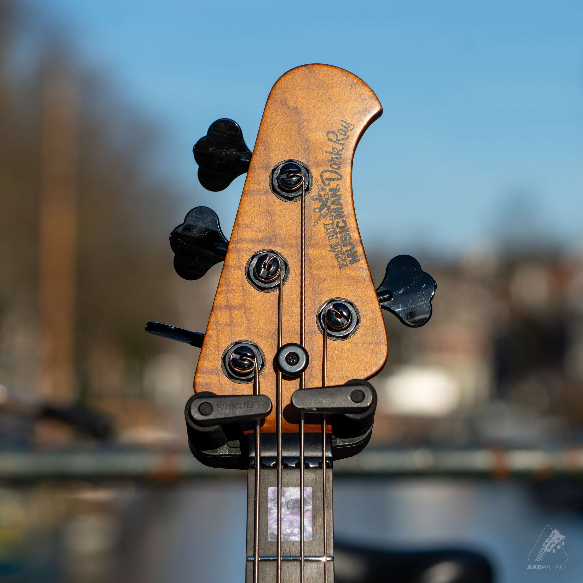 Ernie Ball Music Man DarkRay 4 BFR - Grapes of Wrath - Image 3