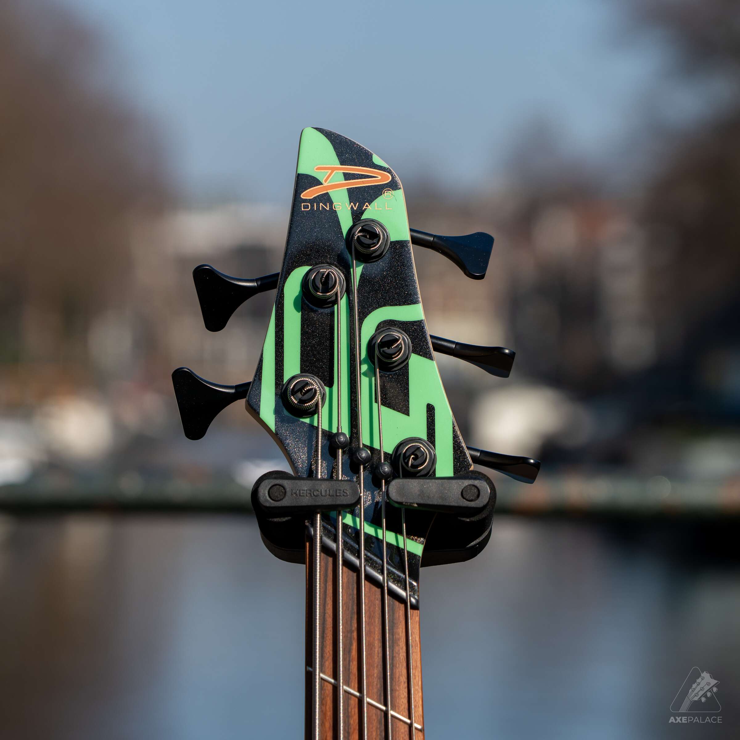 Dingwall JT3 5-String John Taylor Signature - Metallic Black - Image 3