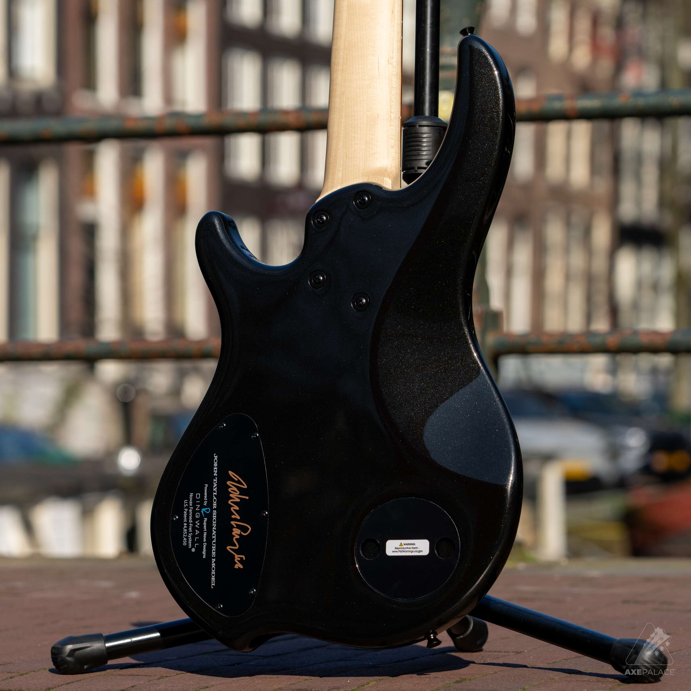 Dingwall JT3 5-String John Taylor Signature - Metallic Black - Image 5