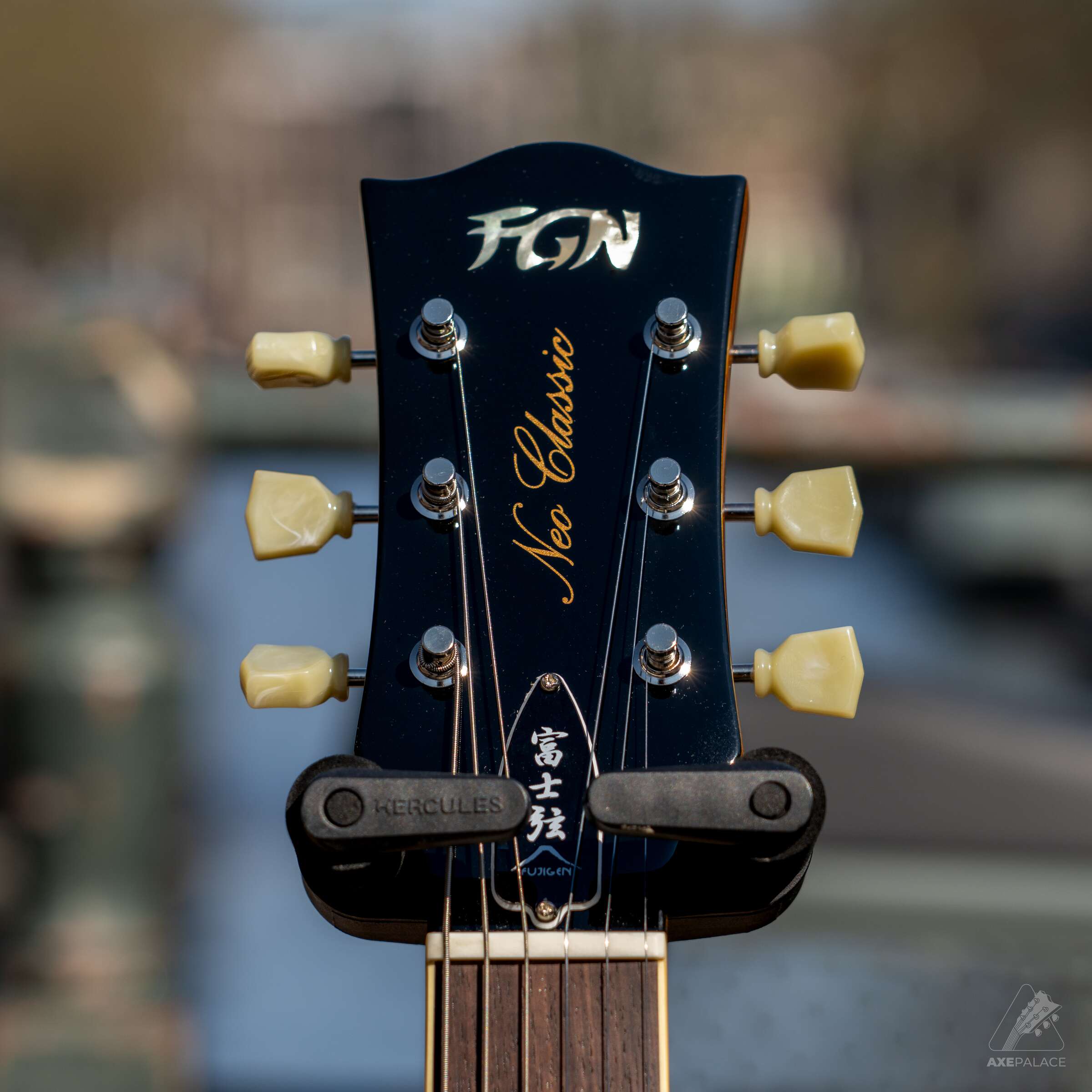 FGN Neo Classic LS30 Vintage Violin - Image 3