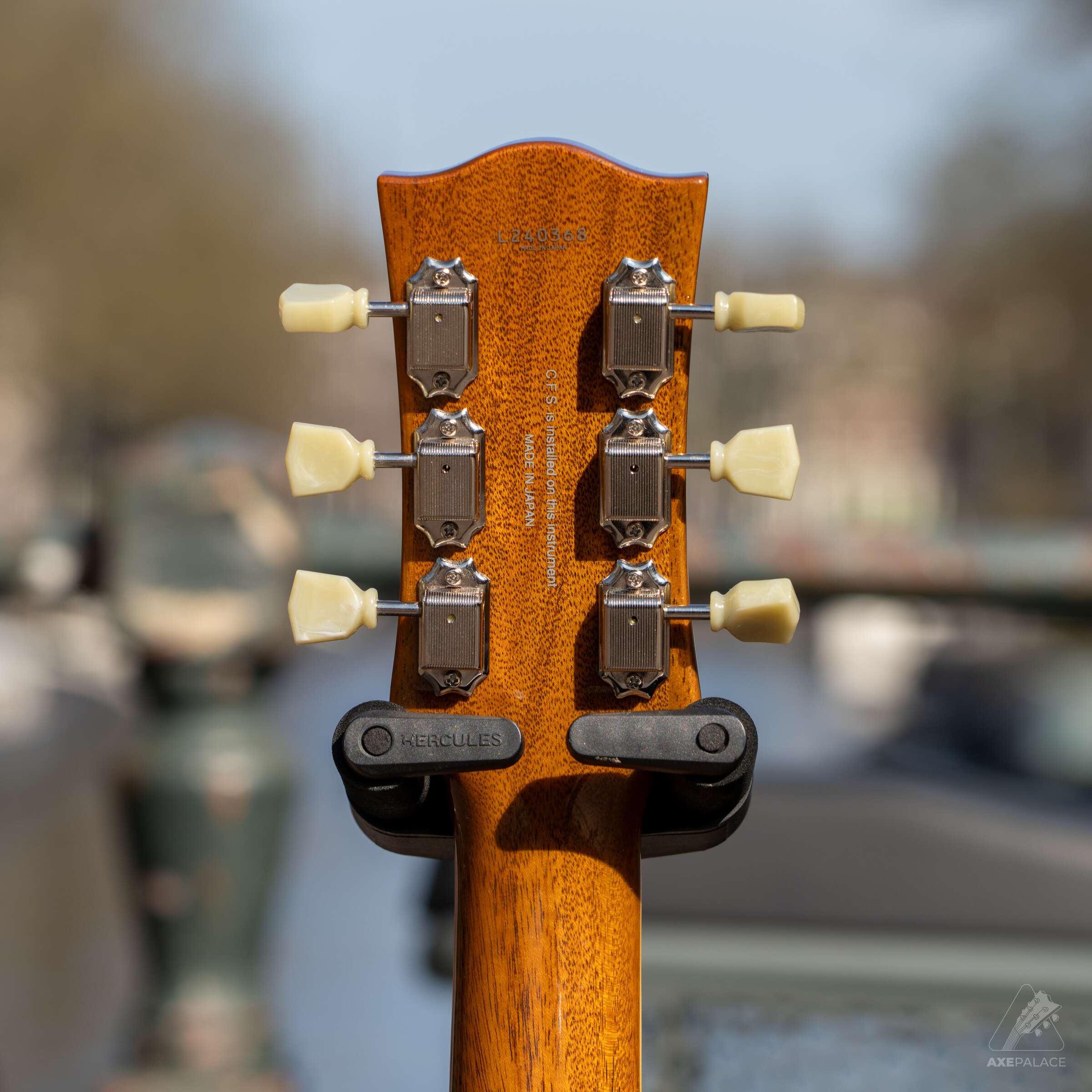 FGN Neo Classic LS30 Vintage Violin - Image 6