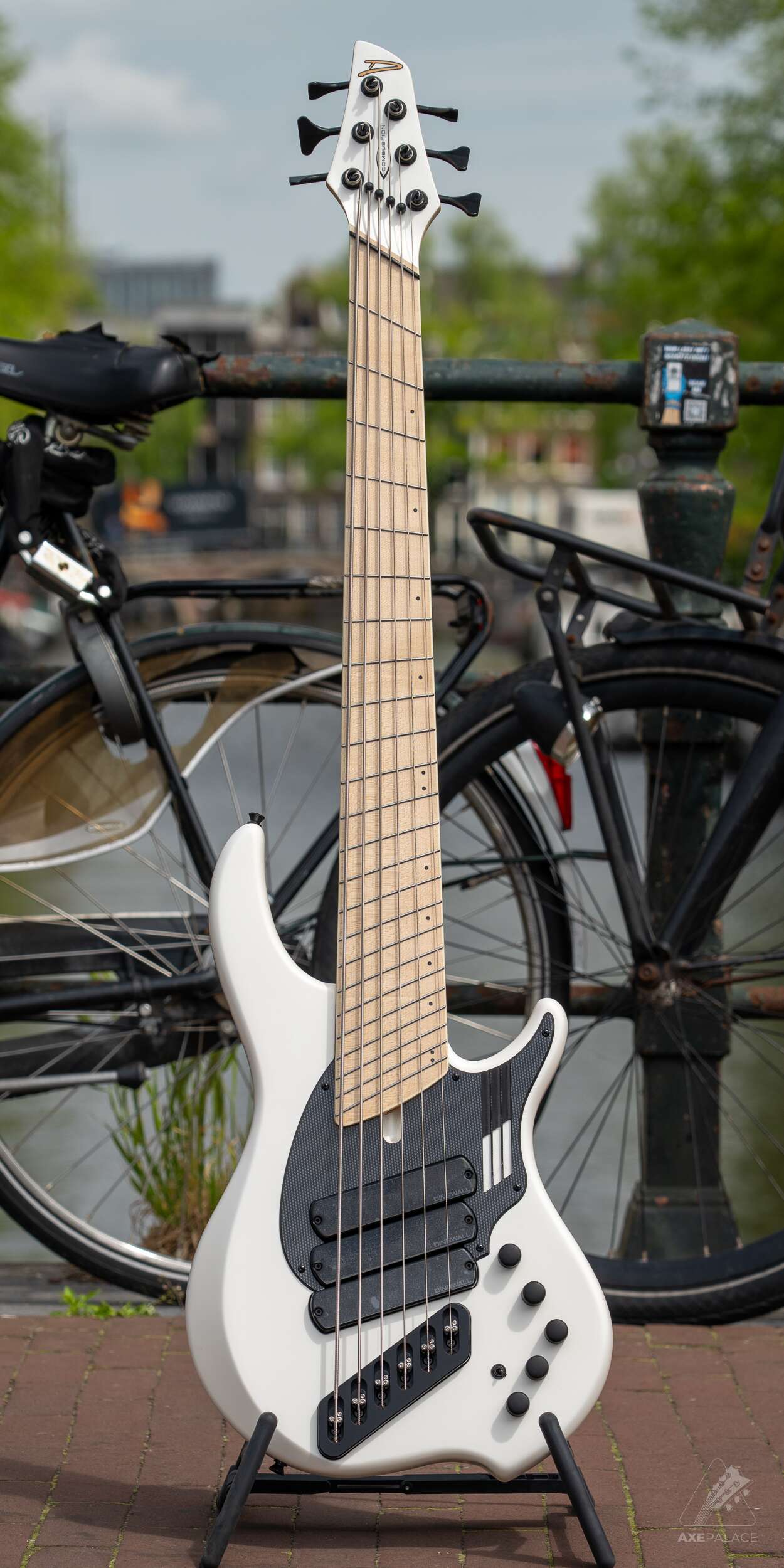 Dingwall NG3 6-String Bass Adam "Nolly" Get Good signature in Matte Ducati White