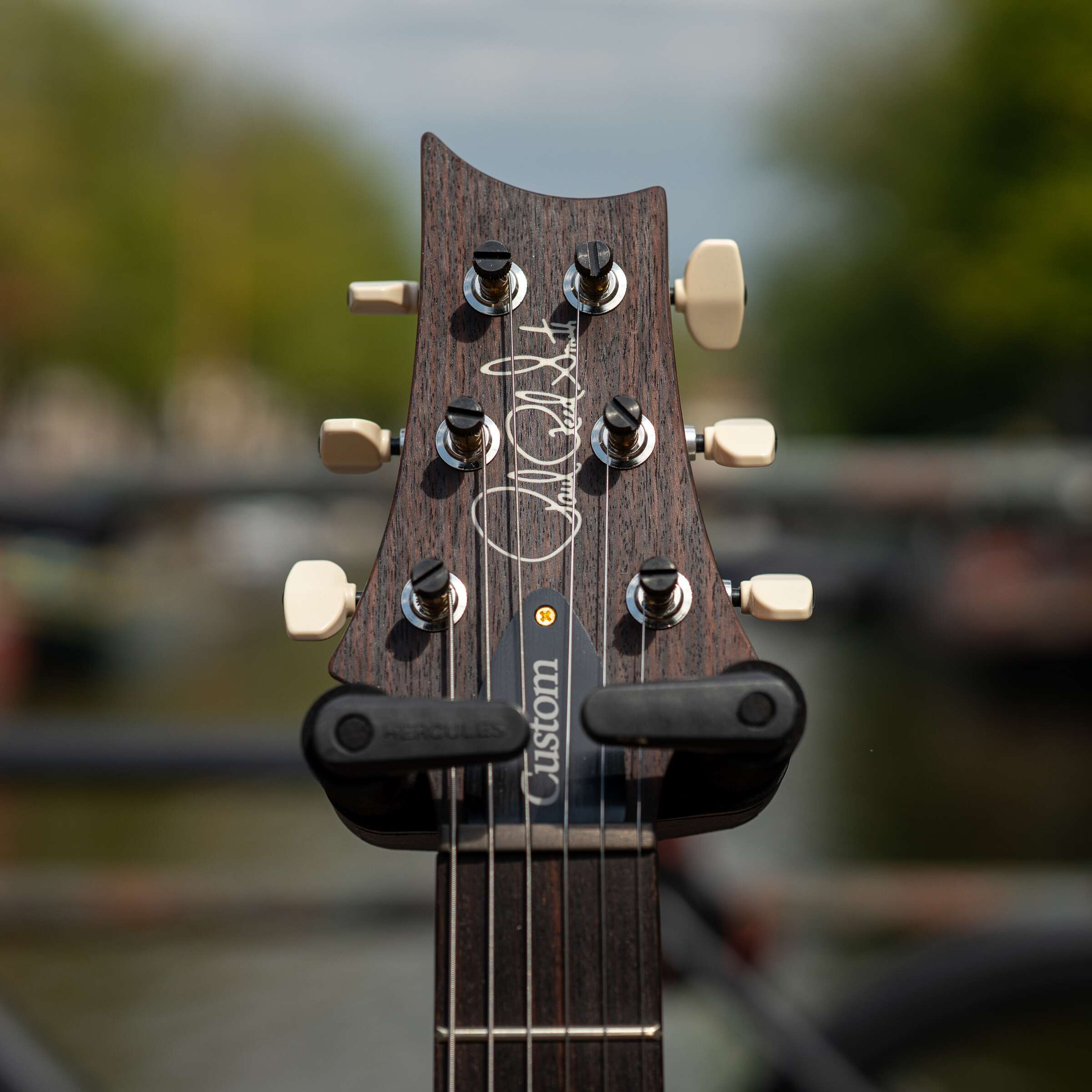 PRS Custom 24 10-Top - Aurora Borealis - Image 5