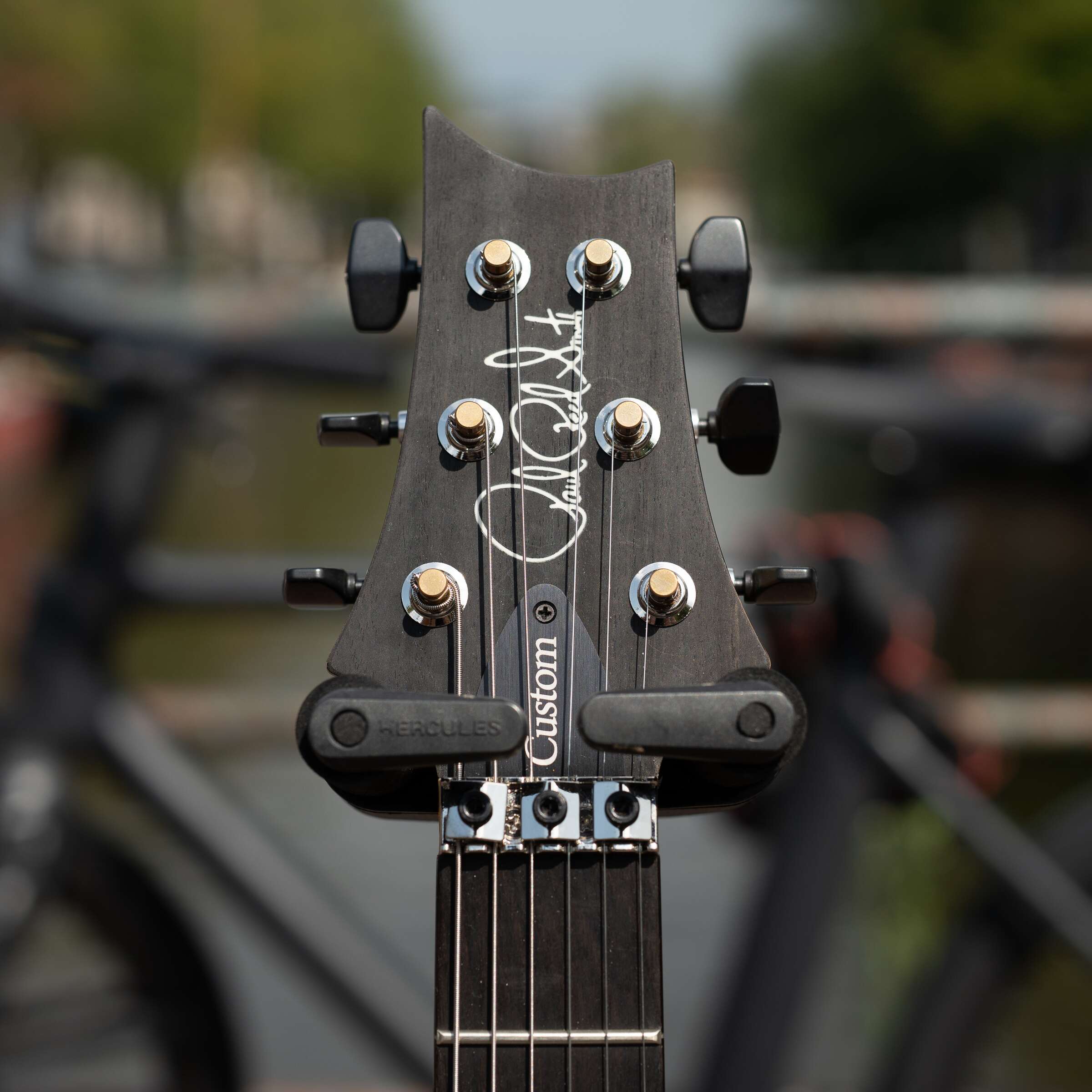 PRS Custom 24 "Floyd" - Black Top (Natural Back) - Image 3
