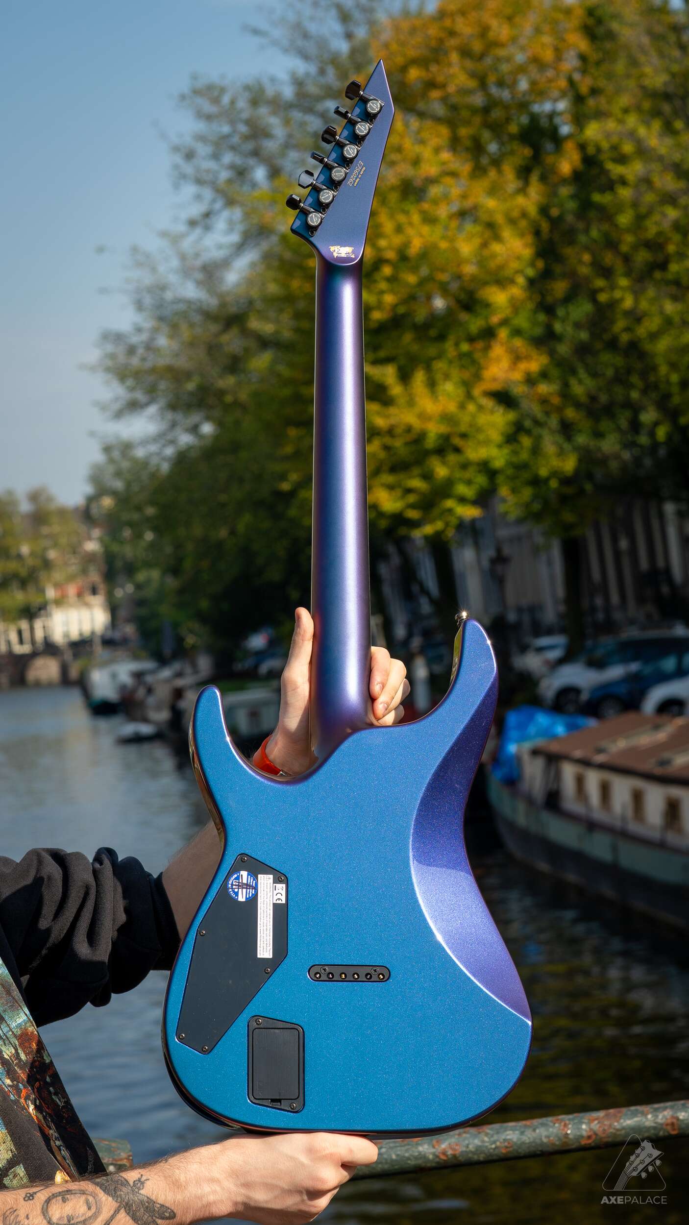 ESP Original Series M-II Custom NT/E – Andromeda II - Image 5